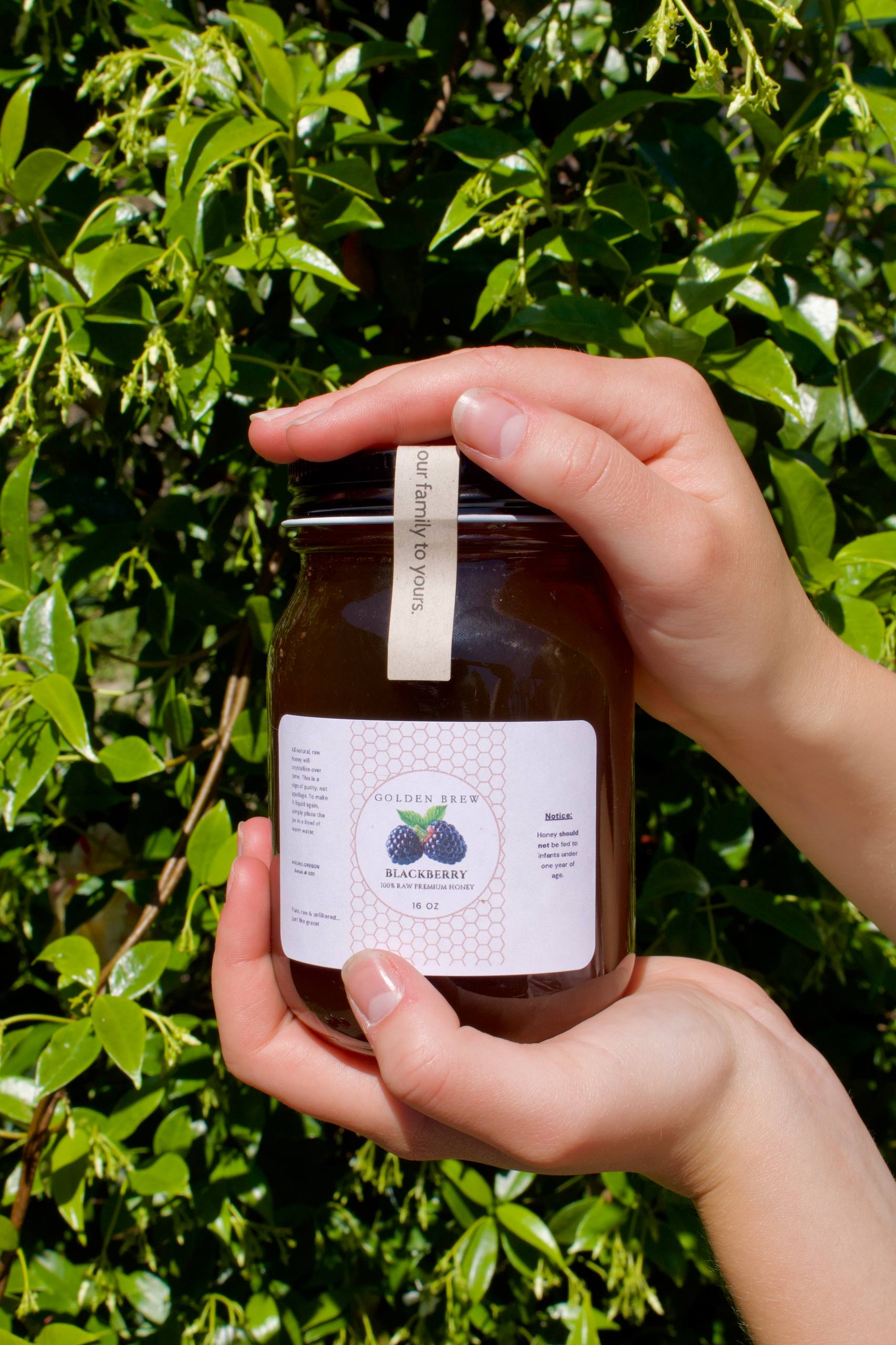 Hands holding a jar of Golden Brew Oregon Blackberry Honey against a leafy green background