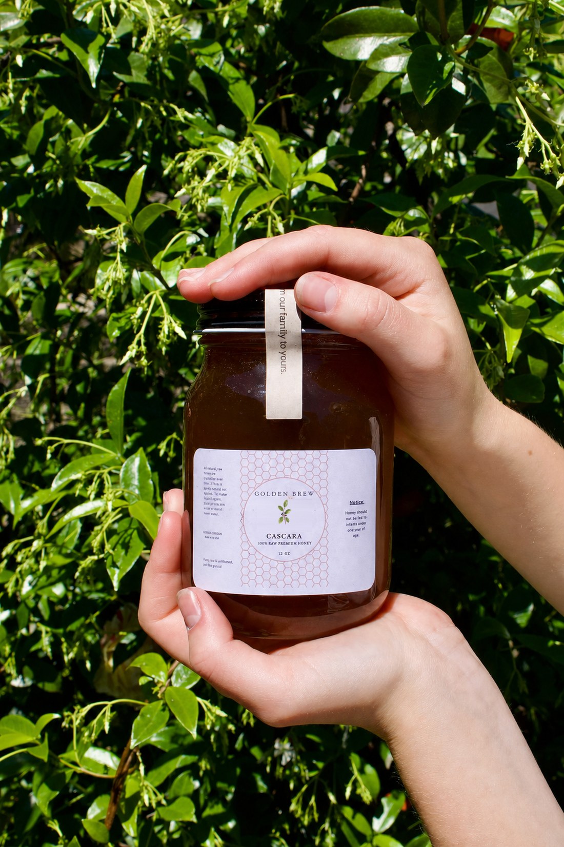 Hands holding a jar of Golden Brew Cascara honey against wild green Oregon foliage