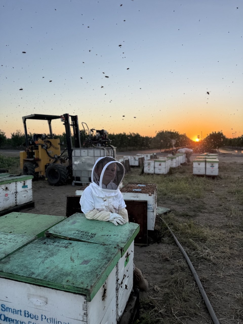 Family working