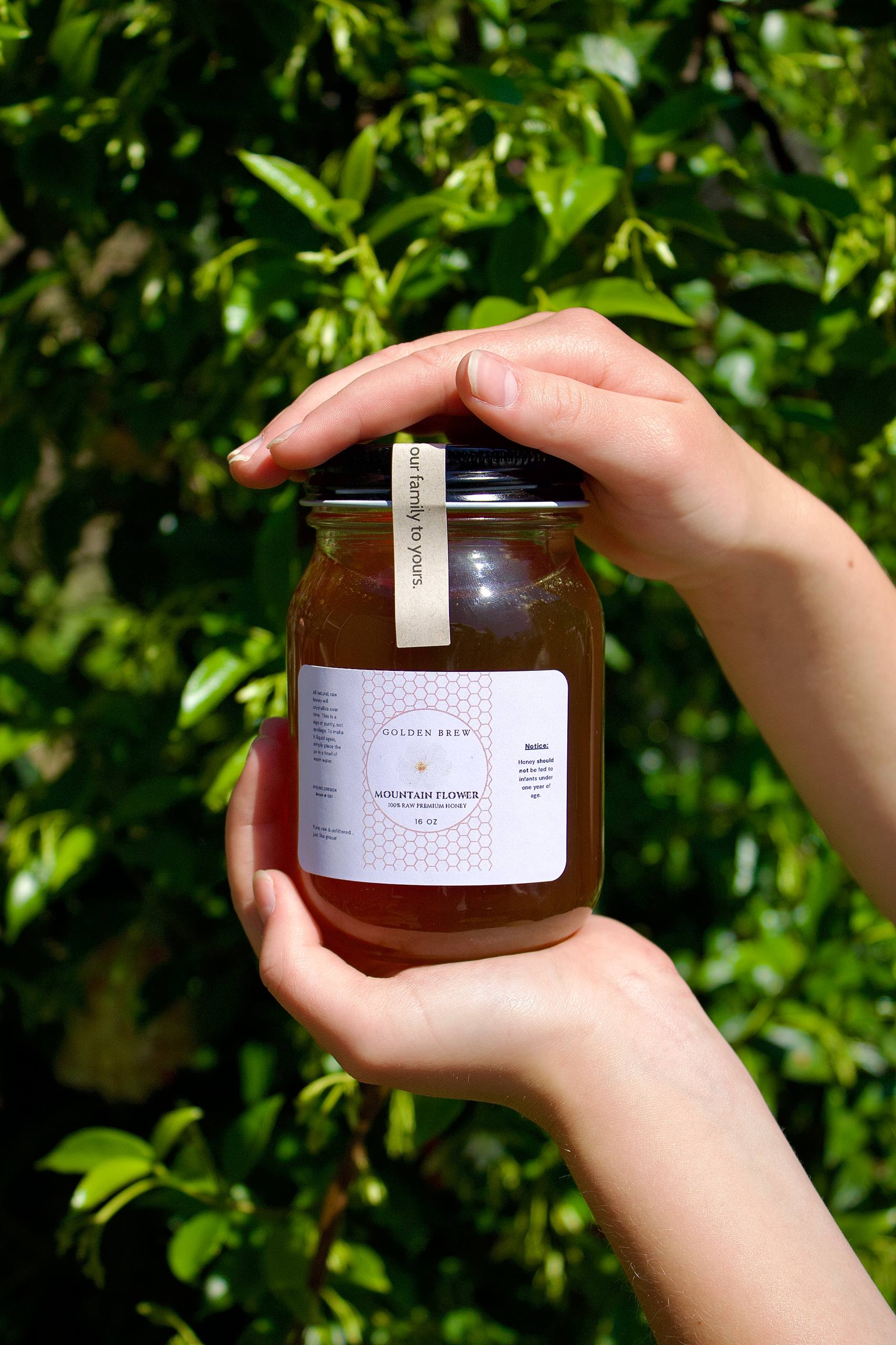 Hands holding a jar of Golden Brew Oregon Mountain Flower Honey against a leafy green background