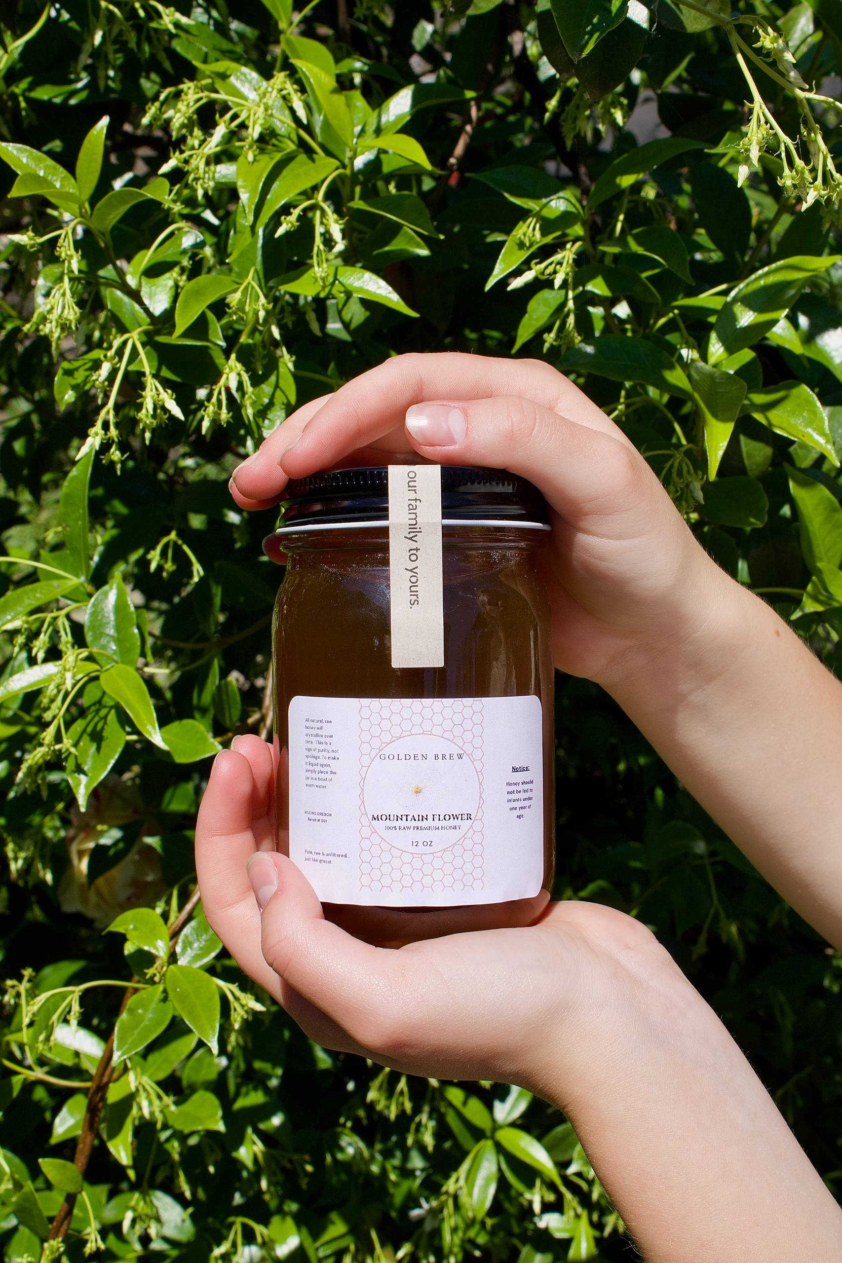 Hands holding a jar of Golden Brew Oregon Mountain Flower Honey against a leafy green backdrop