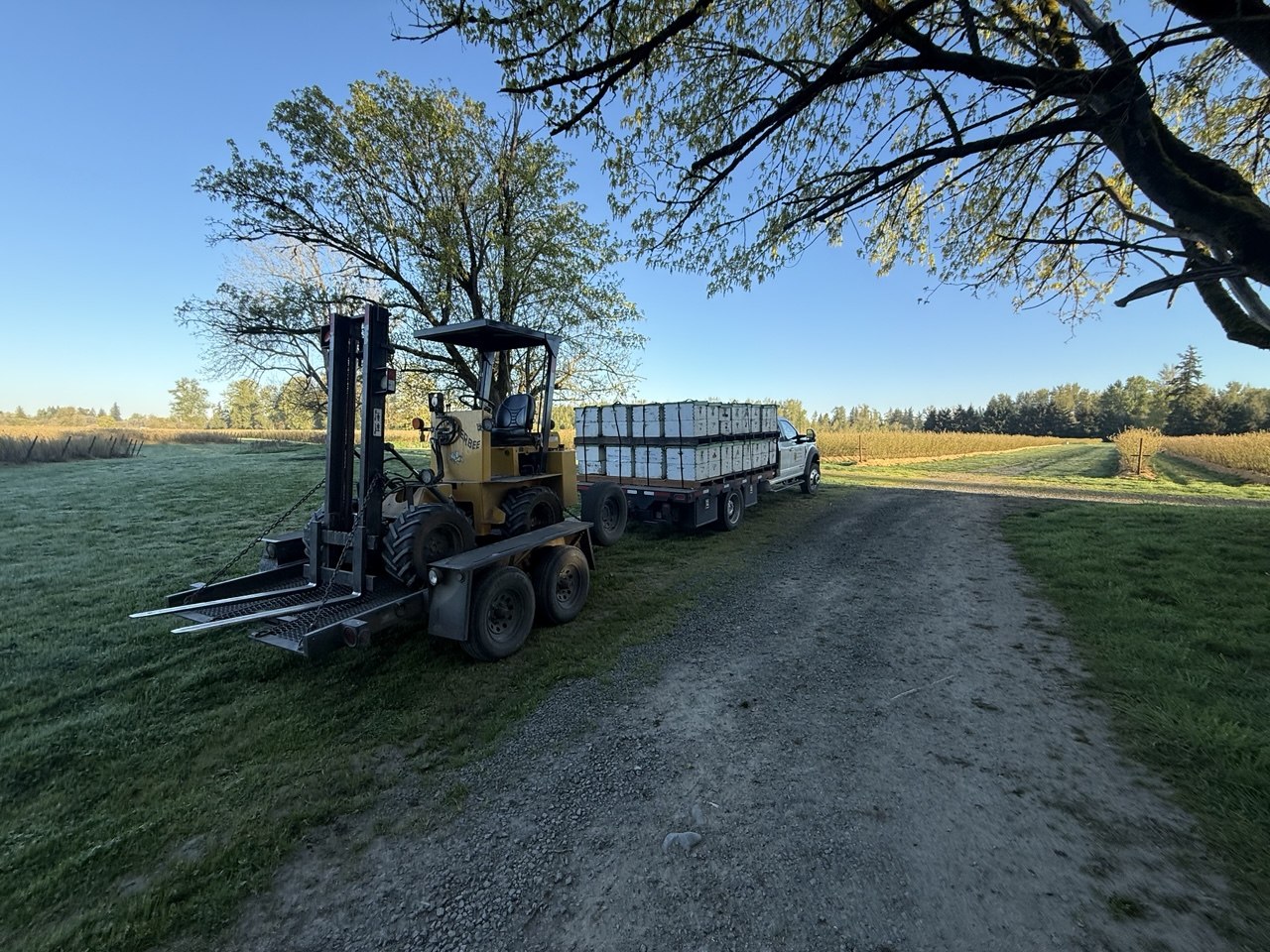 Nucs and forklift